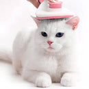 Guia Retrátil Pet 3 MeEscova Tira Pelos PET [Fêmea]tros [Verde]