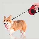 Guia Retrátil Pet 3 Metros [Vermelho]