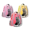Mochila Pet Transparente com Orelha [Fêmea]