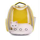 Mochila Pet Transparente com Orelha [Fêmea]