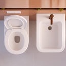 Assento para Vaso Sanitário