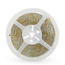 Rolo Fita de Led Branco Frio 12V [5 Metros]