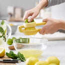 Espremedor de Frutas Manual com Rotação