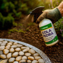 Cola Pedra Fixador de Pedras para Jardim Borrifador [500 ml]