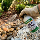 Cola Pedra Fixador de Pedras para Jardim Borrifador [500 ml]